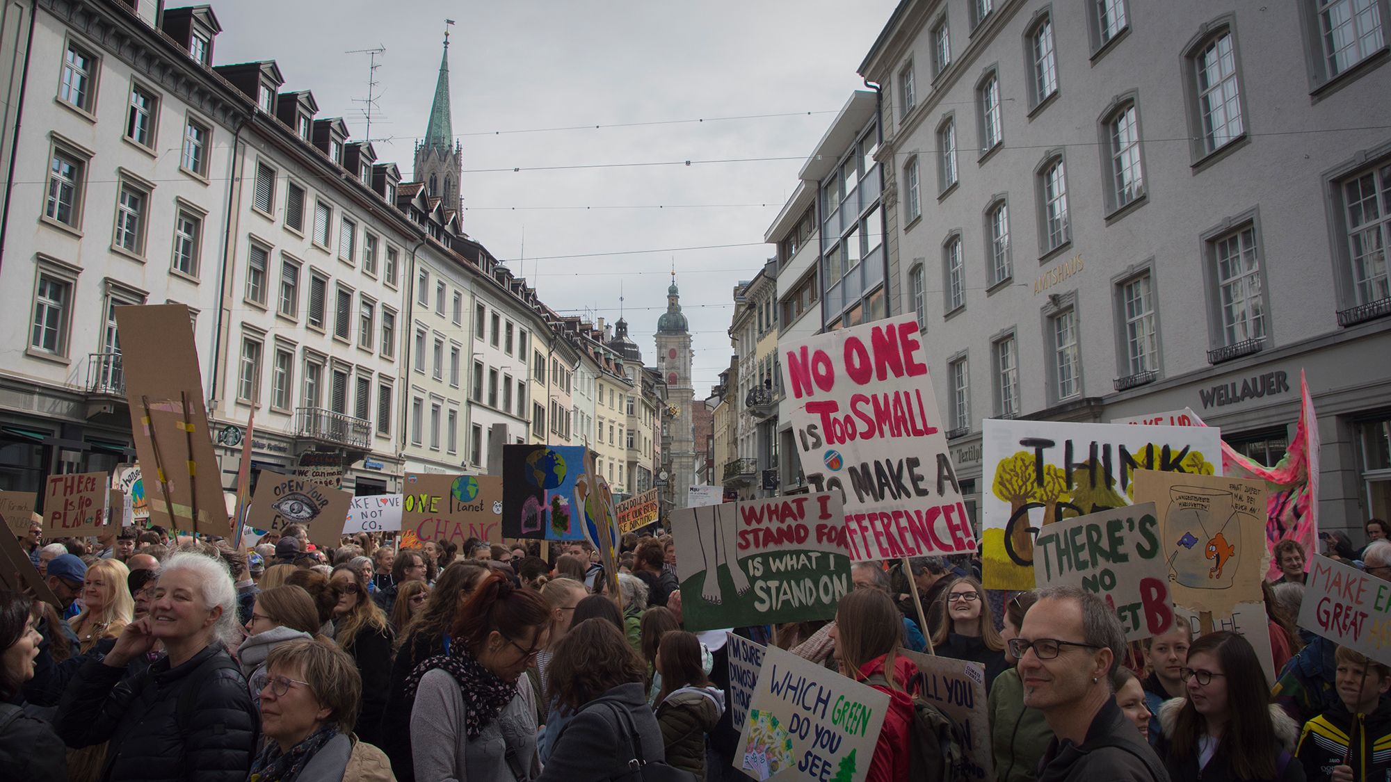 Anfrage zur Ausrufung des Klimanotstandes