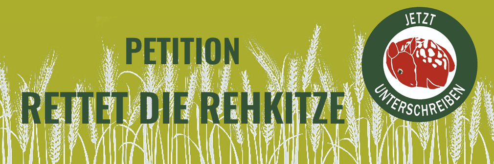 Junge Grünliberale lancieren Petition zum Schutz der Rehkitze im Kanton St.Gallen